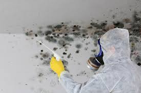 Best Forensic Mold Investigation in USA